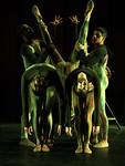 Haiku Suite Photo by John McCauley